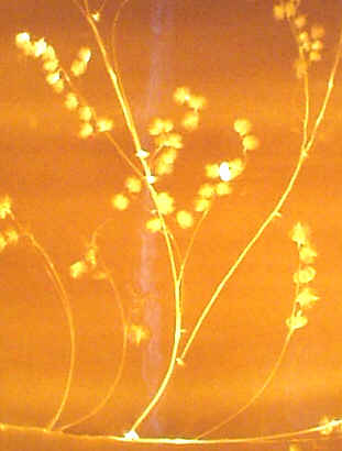 DETAIL ZITTERGRAS, lichtdurchlssiges Porzellan, PORZELLANLEUCHTE, lichtdurchlssig